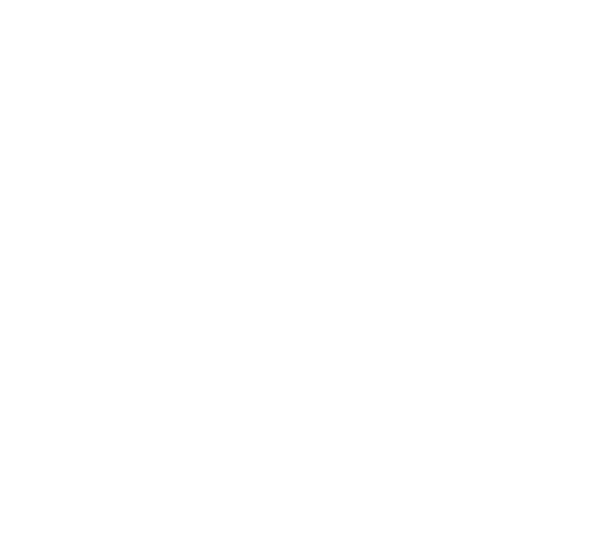 Boston Chimney Sweep